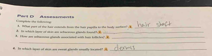 Assessments 
Complete the following: 
1. What part of the hair extends from the hair papilla to the body surface?_ 
2. In which layer of skin are sebaceous glands found? A_ 
3. How are sebaceous glands associated with hair follicles? A_ 
_ 
4. In which layer of skin are sweat glands usually located? A_