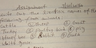 Assignment 312012024 
wnite out the scienfific names of th 
following. form animals: 
Catfle ①sheep ③ Goat 
Turkey ⑤ Poultrg bird ⑥ pig 
toney bee ⑧ Rabbit ⑨Duek 
white goose.