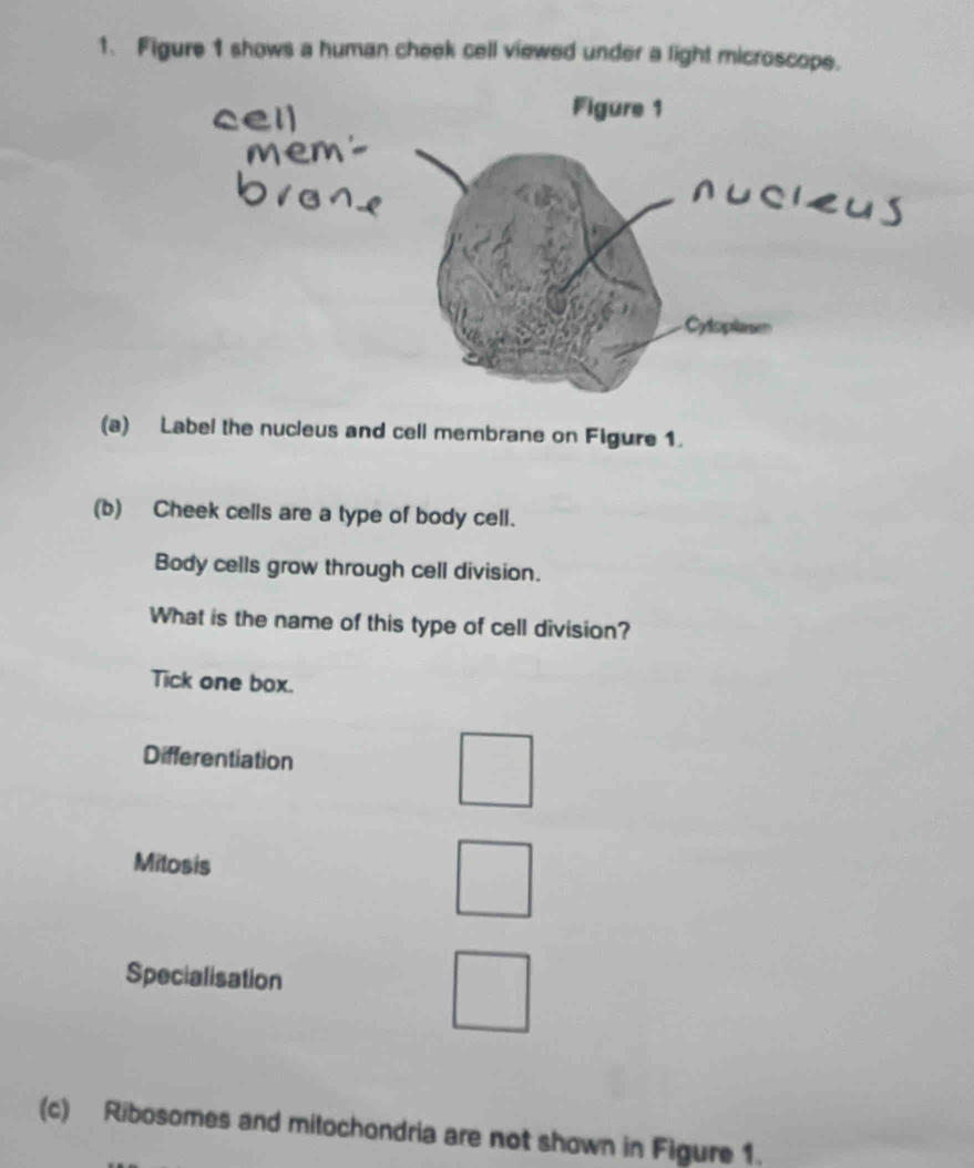 Solved: Figure 1 shows a human cheek cell viewed under a light ...