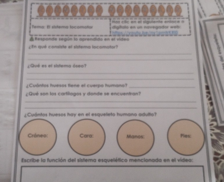 Haz clic en el sigulente enlace o 
Tema: El sistera locomotor digitalio en un navegador web: 
Responde según lo aprendido en el vídeo 
¿En qué consiste el sistera locomotor? 
_ 
_ 
¿Qué es el sistema óseo? 
_ 
_ 
¿Cuántos huesos fiene el cuerpo humano?_ 
¿Qué son los cartilagos y donde se encuentran? 
_ 
_ 
¿Cuántos huesos hay en el esqueleto humano adulto? 
Cráneo: Cara: Manos: Ples: 
Escribe la función del sistema esquelético mencionada en el vídeo: