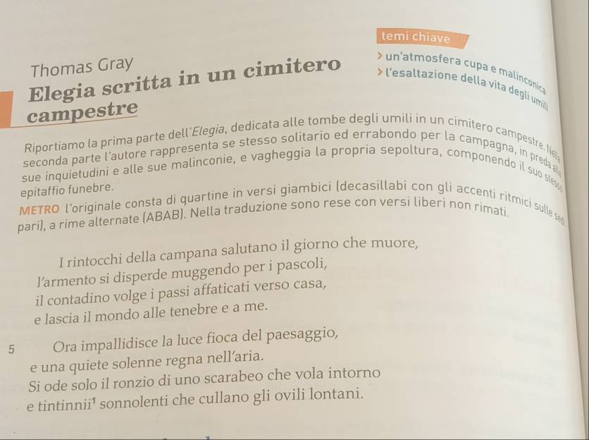 temi chiave 
Thomas Gray 
Elegia scritta in un cimitero 
un atmosfera cupa e malínconica 
l'esaltazione della vita deglí umili 
campestre 
Riportiamo la prima parte dell'Elegia, dedicata alle tombe degli umilí in un cimitero campestre. Ne 
seconda parte l'autore rappresenta se stesso solitario ed errabondo per la campagna, in preda a 
sue inquietudini e alle sue malinconie, e vagheggia la propria sepoltura, componendo il suo stes 
epitaffio funebre. 
METRO l'originale consta di quartine in versi giambici (decasillabi con gli accenti ritmici sulle se 
pari), a rime alternate (ABAB). Nella traduzione sono rese con versi liberi non rimati. 
I rintocchi della campana salutano il giorno che muore, 
l’armento si disperde muggendo per i pascoli, 
il contadino volge i passi affaticati verso casa, 
e lascia il mondo alle tenebre e a me. 
5 Ora impallidisce la luce fioca del paesaggio, 
e una quiete solenne regna nell’aria. 
Si ode solo il ronzio di uno scarabeo che vola intorno 
e tintinnii¹ sonnolenti che cullano gli ovili lontani.