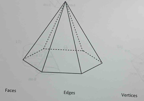 Faces Edges Vertices