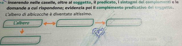 inserendo nelle caselle, oltre al soggetto, il predicato, i sintagmi dei complementi e le 
domande a cui rispondono; evidenzia poi il complemento predicativo del soggetto. 
L'albero di albicocche è diventato altissimo. 
_ 
L'albero 
_ 
_ 
_ 
_