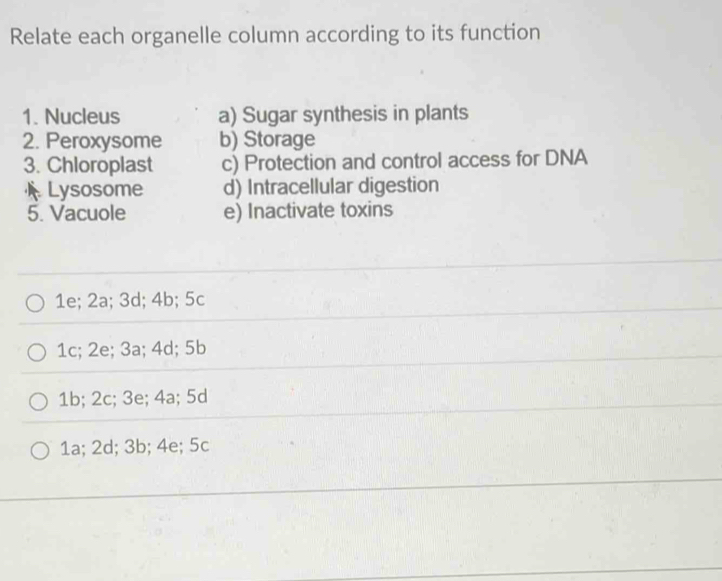 Relate each organelle column according to its function
1. Nucleus a) Sugar synthesis in plants
2. Peroxysome b) Storage
3. Chloroplast c) Protection and control access for DNA
)Lysosome d) Intracellular digestion
5. Vacuole e) Inactivate toxins
1e; 2a; 3d; 4b; 5c
1c; 2e; 3a; 4d; 5b
1b; 2c; 3e; 4a; 5d
1a; 2d; 3b; 4e; 5c