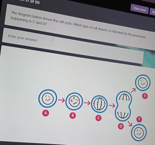 of 20 
Hide score 
happening in C and D? 
The diagram below shows the cell cycle. Which type of cell division is indicated by the processes 
Enter your answer 
A 
B 
C 
D