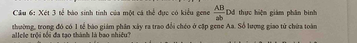 Xét 3 tế bào sinh tinh của một cá thể đực có kiểu gene  AB/ab  D thực hiện giảm phân bình 
thường, trong đó có 1 tế bào giảm phân xảy ra trao đổi chéo ở cặp gene Aa. Số lượng giao tử chứa toàn 
allele trội tối đa tạo thành là bao nhiêu?