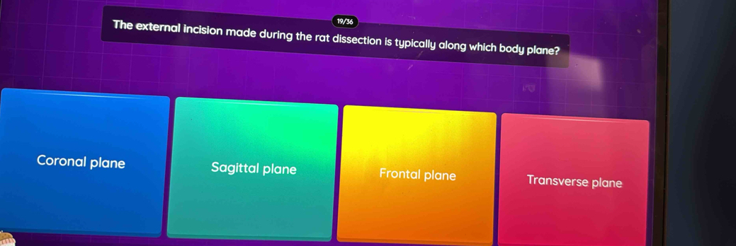 19/36
The external incision made during the rat dissection is typically along which body plane?
Coronal plane Sagittal plane Frontal plane Transverse plane