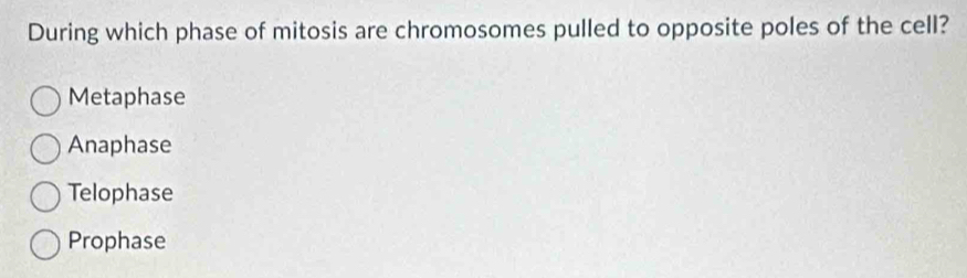 During which phase of mitosis are chromosomes pulled to opposite poles of the cell?
Metaphase
Anaphase
Telophase
Prophase