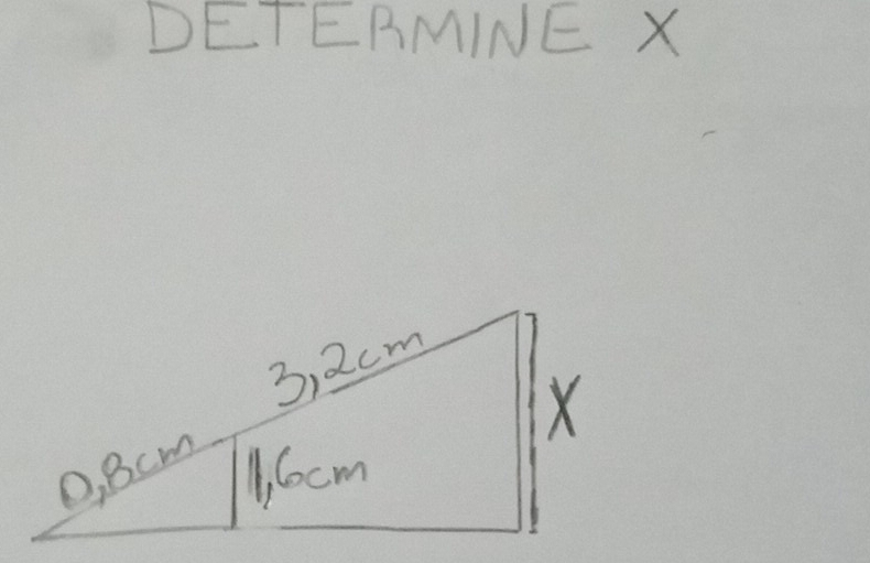 DETERMINE X