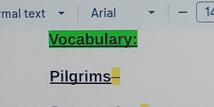 mal text Arial 14 
Vocabulary: 
Pilgrims