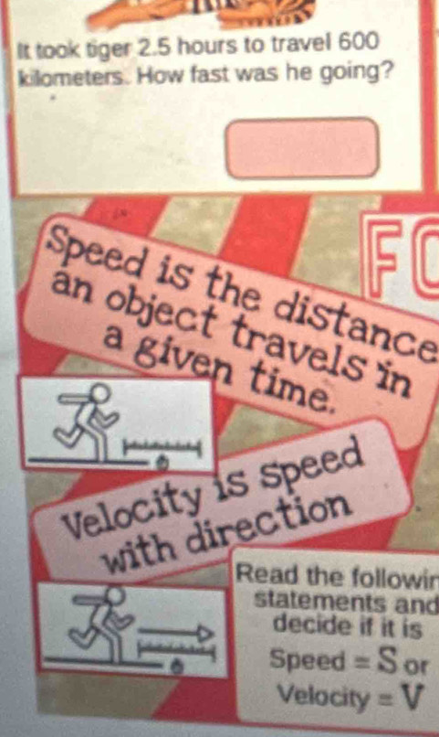 It took tiger 2.5 hours to travel 600
kilometers. How fast was he going? 
FC 
Speed is the distance 
an object travels in 
a given time. 
Velocity is speed 
with direction 
Read the followir 
statements and 
decide if it is 
Speed =S or 
Velocity =V