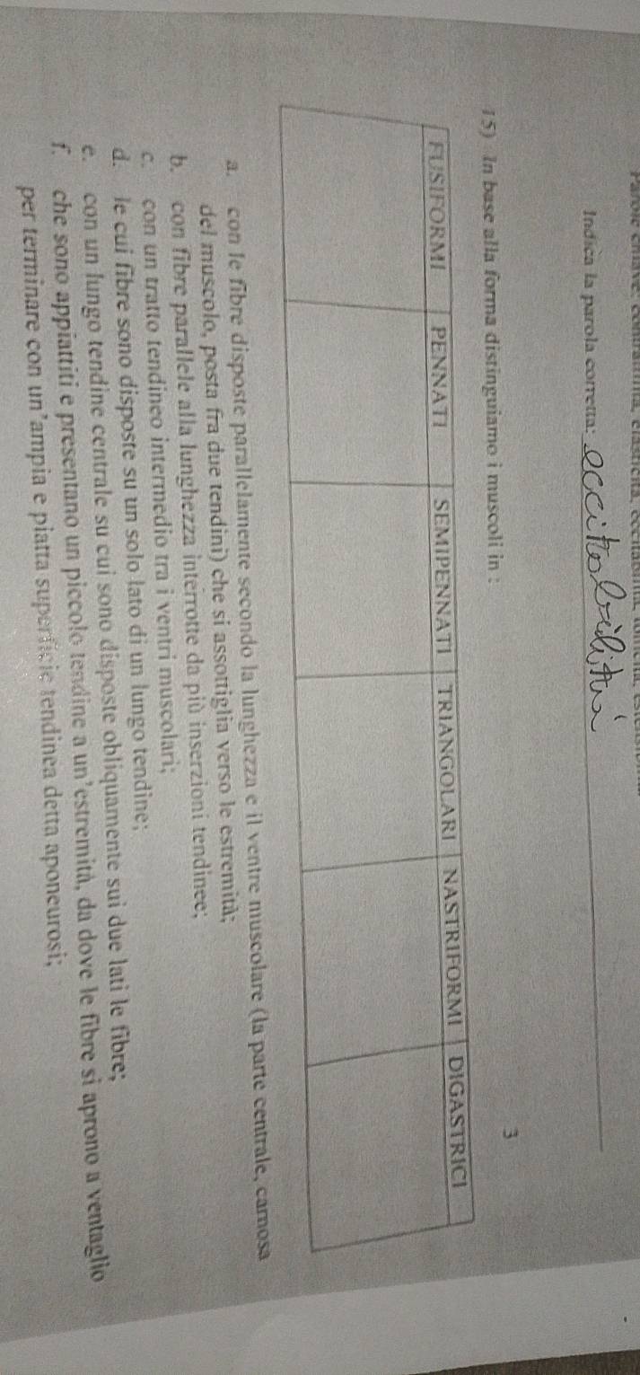 Indica la parola corretta:
_
3
15) In base alla forma distinguiamo i muscoli in :
a. con le fibre disposte parallelamente secondo la lunghezza e il ventre muscolare (la parte centrale, carosa
del muscolo, posta fra due tendini) che si assottiglia verso le estremità;
b. con fibre parallele alla lunghezza interrotte da più inserzioni tendinee;
c. con un tratto tendineo intermedio tra i ventri muscolari;
d. le cui fibre sono disposte su un solo lato di un lungo tendine;
e. con un lungo tendine centrale su cui sono disposte obliquamente sui due lati le fibre;
f. che sono appiattiti e presentano un piccolo tendine a un’estremità, da dove le fibre si aprono a ventaglio
per terminare con un’ampia e piatta superfície tendinea detta aponeurosi;