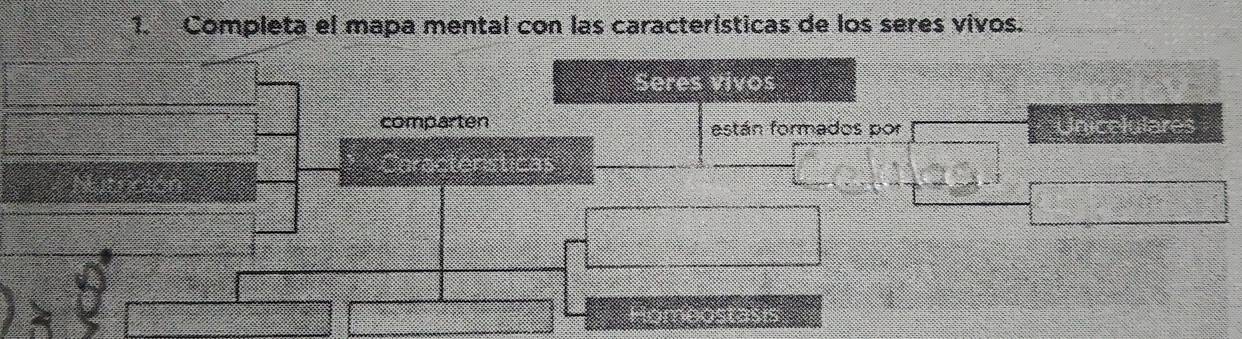 Completa el mapa mental con las características de los seres vivos. 
Seres vivos 
comparten están formados por Unicelulares 
Características 
Homeostasis