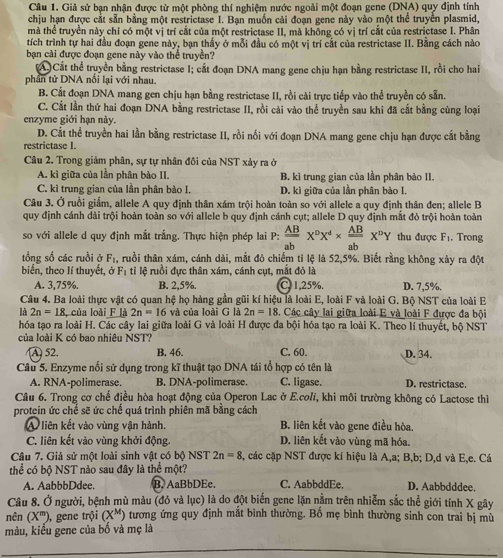 Giả sử bạn nhận được từ một phòng thí nghiệm nước ngoài một đoạn gene (DNA) quy định tính
chịu hạn được cắt sẵn bằng một restrictase I. Bạn muốn cài đoạn gene này vào một thể truyền plasmid,
mà thể truyền này chỉ có một vị trí cắt của một restrictase II, mà không có vị trí cắt của restrictase I. Phân
tích trình tự hai đầu đoạn gene này, bạn thấy ở mỗi đầu có một vị trí cắt của restrictase II. Bằng cách nào
bạn cài được đoạn gene này vào thể truyền?
(A. Cắt thể truyền bằng restrictase I; cắt đoạn DNA mang gene chịu hạn bằng restrictase II, rồi cho hai
phần tử DNA nối lại với nhau.
B. Cắt đoạn DNA mang gen chịu hạn bằng restrictase II, rồi cài trực tiếp vào thể truyền có sẵn.
C. Cắt lần thứ hai đoạn DNA bằng restrictase II, rồi cài vào thể truyền sau khi đã cắt bằng cùng loại
enzyme giới hạn này.
D. Cắt thể truyền hai lần bằng restrictase II, rồi nối với đoạn DNA mang gene chịu hạn được cắt bằng
restrictase I.
Câu 2. Trong giảm phân, sự tự nhân đôi của NST xảy ra ở
A. kì giữa của lần phân bào II. B. kì trung gian của lần phân bào II.
C. kì trung gian của lần phân bào I. D. kì giữa của lần phân bào I.
Câu 3. Ở ruồi giấm, allele A quy định thân xám trội hoàn toàn so với allele a quy định thân đen; allele B
quy định cánh dài trội hoàn toàn so với allele b quy định cánh cụt; allele D quy định mắt đỏ trội hoàn toàn
so với allele d quy định mắt trắng. Thực hiện phép lai P:  AB/ab X^pX^d*  AB/ab X^pY thu được F_1. Trong
tổng số các ruồi ở F_1 , ruồi thân xám, cánh dài, mắt đỏ chiếm tỉ lệ là 52,5%. Biết rằng không xảy ra đột
biến, theo lí thuyết, ở F_1 ti lệ ruồi đực thân xám, cánh cụt, mắt đỏ là
A. 3,75%. B. 2,5%. C. 1,25%. D. 7,5%.
Câu 4. Ba loài thực vật có quan hệ họ hàng gần gũi kí hiệu là loài E, loài F và loài G. Bộ NST của loài E
là 2n=_ 18 , của loài F là 2n=16 và của loài G là 2n=18. Các cây lai giữa loài E và loài F được đa bội
hóa tạo ra loài H. Các cây lai giữa loài G và loài H được đa bội hóa tạo ra loài K. Theo lí thuyết, bộ NST
của loài K có bao nhiêu NST?
A 52. B. 46. C. 60. D. 34.
Câu 5. Enzyme nối sử dụng trong kĩ thuật tạo DNA tái tổ hợp có tên là
A. RNA-polimerase. B. DNA-polimerase. C. ligase. D. restrictase.
Câu 6. Trong cơ chế điều hòa hoạt động của Operon Lac ở E.coli, khi môi trường không có Lactose thì
protein ức chế sẽ ức chế quá trình phiên mã bằng cách
A liên kết vào vùng vận hành. B. liên kết vào gene điều hòa.
C. liên kết vào vùng khởi động. D. liên kết vào vùng mã hóa.
Câu 7. Giả sử một loài sinh vật có bộ NST 2n=8 5, các cặp NST được kí hiệu là A,a; B,b; D,d và E,e. Cá
thể có bộ NST nào sau đây là thể một?
A. AabbbDdee. B. AaBbDEe. C. AabbddEe. D. Aabbdddee.
Câu 8. Ở người, bệnh mù màu (đỏ và lục) là do đột biến gene lặn nằm trên nhiễm sắc thể giới tính X gây
nên (X^m) , gene trội (X^M) O tương ứng quy định mắt bình thường. Bố mẹ bình thường sinh con trai bị mù
màu, kiểu gene của bố và mẹ là