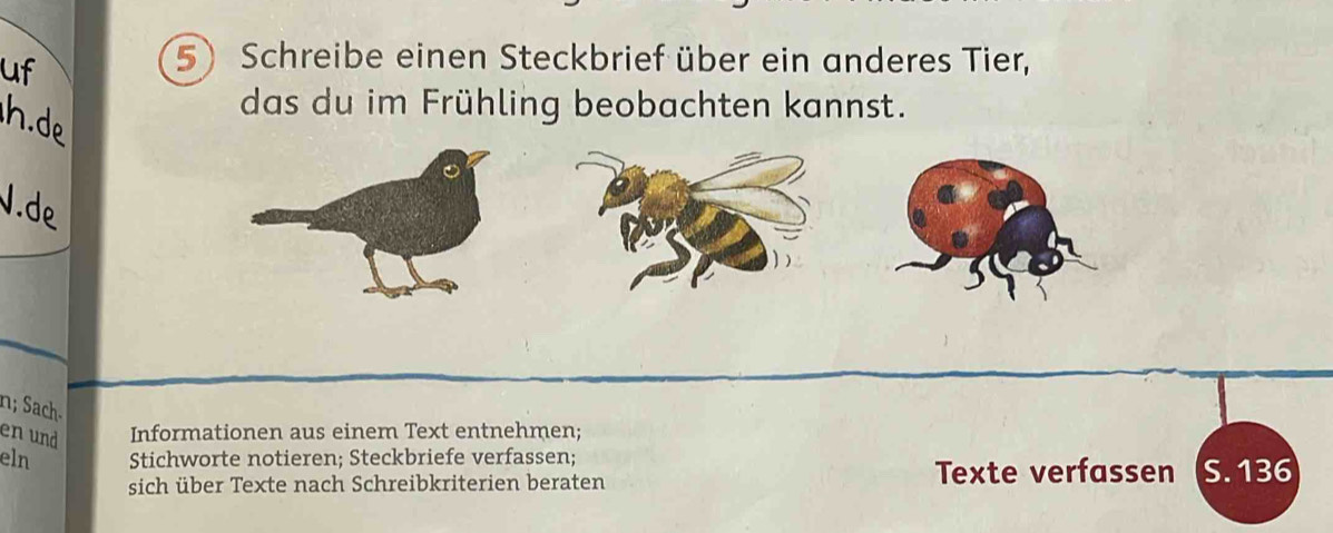 Schreibe einen Steckbrief über ein anderes Tier, 
das du im Frühling beobachten kannst. 
n; Sach- 
en und Informationen aus einem Text entnehmen; 
eln Stichworte notieren; Steckbriefe verfassen; 
sich über Texte nach Schreibkriterien beraten Texte verfassen (S. 136