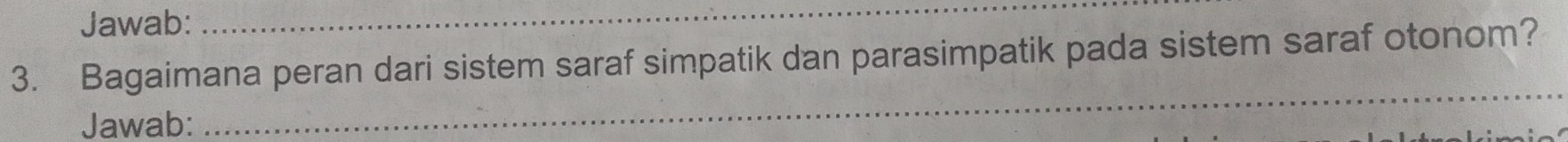 Jawab:_ 
3. Bagaimana peran dari sistem saraf simpatik dan parasimpatik pada sistem saraf otonom? 
_ 
Jawab: 
_ 
_