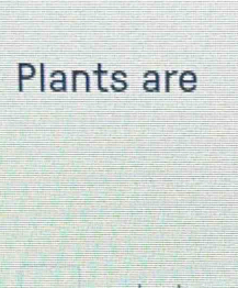 Plants are