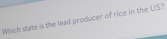 Which state is the lead producer of rice in the US?