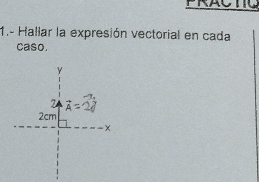 PRAUTIC 
1.- Hallar la expresión vectorial en cada 
caso.