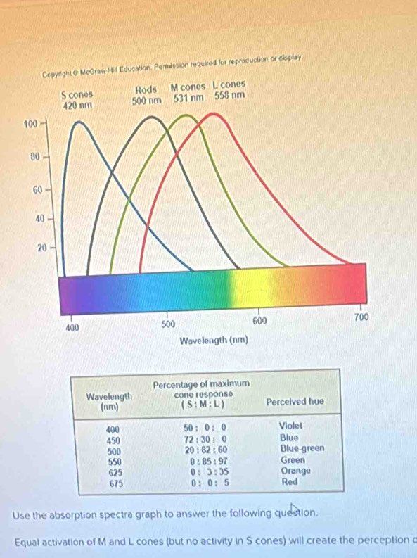 Copyright @ McOrew Hil Education. Permlssion required for reproduction or display
Rods M cones L cones
S cones 500 nm 531 nm 558 nm
420 nm
100
80
60
40
20
400 500 600 700
Wavelength (nm)
Use the absorption spectra graph to answer the following question.
Equal activation of M and L cones (but no activity in S cones) will create the perception c