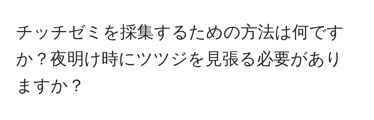 チッチゼミを採集するための方法は何ですか？夜明け時にツツジを見張る必要がありますか？