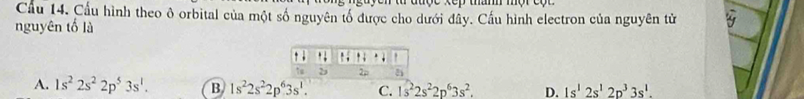 Cầu 14. Cầu hình theo ô orbital của một số nguyên tố được cho dưới đây. Cấu hình electron của nguyên tử
nguyên tố lù
A. 1s^22s^22p^53s^1. B 1s^22s^22p^63s^1. C. 1s^22s^22p^63s^2. D. 1s^12s^12p^33s^1.