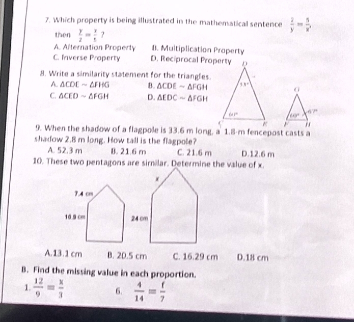 Which property is being illustrated in the mathematical sentence  2/y = 5/x ,
then  y/2 = y/5  ？
A. Alternation Property B. Multiplication Property
C. Inverse Property D. Reciprocal Property
8. Write a similarity statement for the triangles.
A. △ CDEsim △ FHG B. △ CDEsim △ FGH
C. △ CEDsim △ FGH D. △ EDCsim △ FGH

9. When the shadow of a flagpole is 33.6 m long, a 1.8-m fencepost casts a
shadow 2.8 m long. How tall is the flagpole?
A. 52.3 m B. 21.6 m C. 21.6 m D.12.6 m
10. These two pentagons are similar. Determine the value of x.
A.13.1 cm B. 20.5 cm C. 16.29 cm D.18 cm
B. Find the missing value in each proportion.
1  12/9 = x/3  6.  4/14 = f/7 