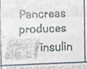 Pancreas 
produces 
insulin