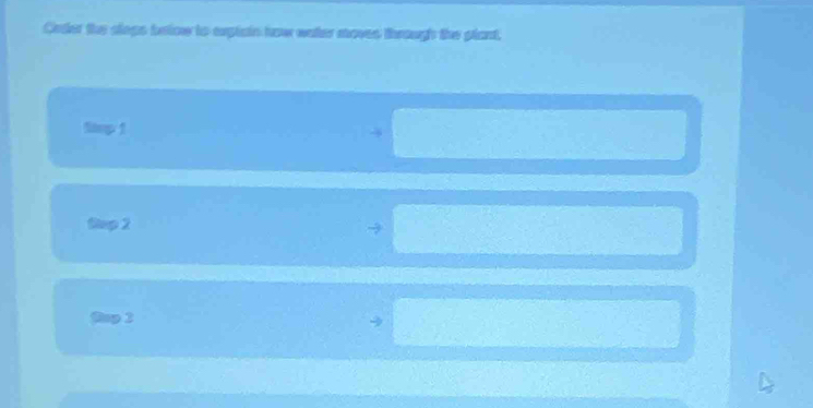Gnder the sleps briow to expiain how water moves through the plant, 
Stmp 1 
Sap 2 
Rop 2