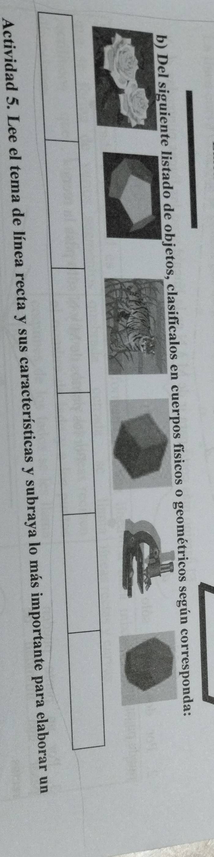 Del siguiente listado de objetos, clasifícalos en cuerpos físicos o geométricos según corresponda: 
Actividad 5. Lee el tema de línea recta y sus características y subraya lo más importante para elaborar un