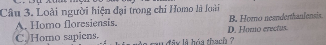 Loài người hiện đại trong chi Homo là loài
A. Homo floresiensis. B. Homo neanderthanlensis.
D. Homo erectus.
C. Homo sapiens.
au đây là hóa thach ?