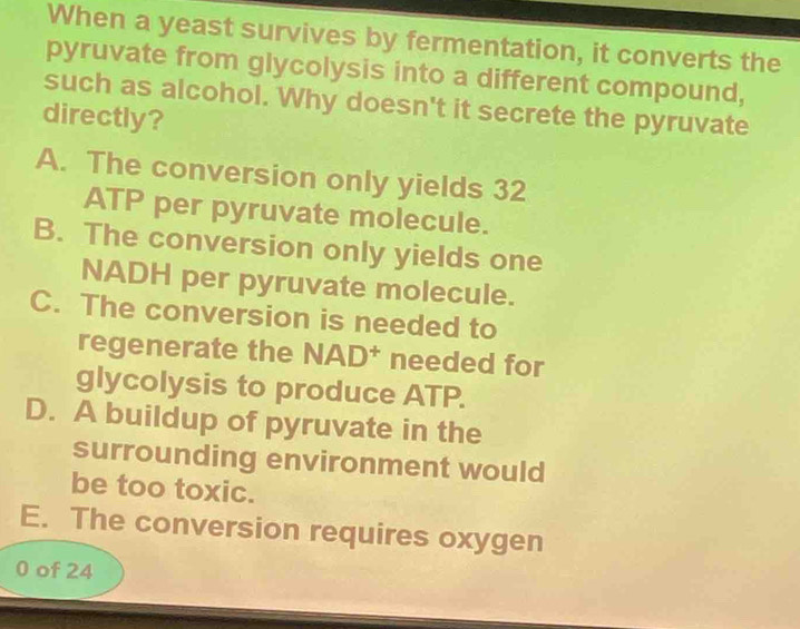 When a yeast survives by fermentation, it converts the
pyruvate from glycolysis into a different compound,
such as alcohol. Why doesn't it secrete the pyruvate
directly?
A. The conversion only yields 32
ATP per pyruvate molecule.
B. The conversion only yields one
NADH per pyruvate molecule.
C. The conversion is needed to
regenerate the NAD^+ needed for
glycolysis to produce ATP.
D. A buildup of pyruvate in the
surrounding environment would
be too toxic.
E. The conversion requires oxygen
0 of 24