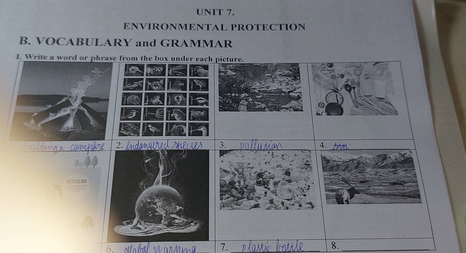 ENVIRONMENTAL PROTECTION 
B. VOCABULARY and GRAMMAR 
I. Write a word or phrase from the box under each picture. 
2. 
3. 
4. 
RECYCLING 
7._ 
8._