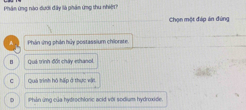 Phản ứng nào dưới đây là phản ứng thu nhiệt?
Chọn một đáp án đúng
A Phản ứng phân hủy postassium chlorate.
B Quá trình đốt cháy ethanol.
C Quá trình hô hấp ở thực vật.
D Phản ứng của hydrochloric acid với sodium hydroxide.