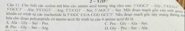 -120
Câu 11. Cho biết các codon mã hóa các amino acid tương ứng như sau: 5°GGC3°-Gly; 5°CCG3°
5^.GCC3^.-Ala. 5'CGG3'-Arg : 5°UCG3°-Se 5^(,GC3'-S-Ser) *. Một đoạn mạch gốc của một gene
khuân có trình tự các nucleotide là 5°GGC CG  CGG GCC3° , Nếu đoạn mạch gốc này mang thông tin
hóa cho đoạn polypeptide có amino acid thì trình tự của 4 amino acid đó là
A. Ala-Gly-Ser-Pro. C. Pro-Gly-Ala-Ser.
B. Pro-Gly-Ser-Arg.
D. Gly-Pro-Ser-Ala.