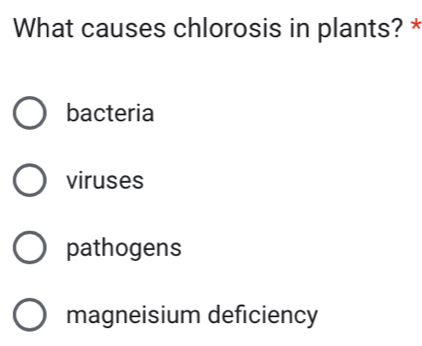 What causes chlorosis in plants? *
bacteria
viruses
pathogens
magneisium deficiency