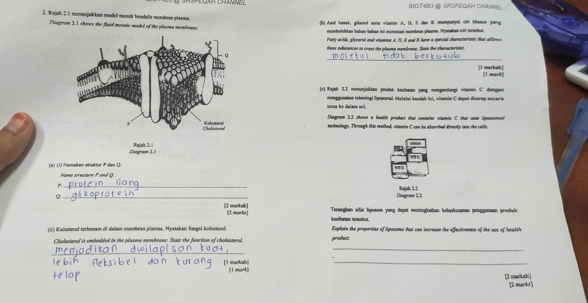 BIOT4B3 @ SRSFEQAH CHANNEL 
2. Rajah 2.1 menunjukkan model mozek bendalir membran plasma. 
(b) Asid lemak, gliscrol serta vitamin A, D, E dan K mempunyai ciri khusus yang 
Diagram 2.A shows the fluid mosaic model of the plasma membrane. 
mcmbolchkan bahan-bahan ini mcrentasi mcmbran plasma. Nyatakan ciri tersebut. 
Fatty acids, glycerol and vitamins A, D, E and K have a special characteristic that allows 
these substances to cross the plasma membranc. State the characteristic. 
_ 
[l markah] 
[1 mark] 
(c) Rajah 2.2 menunjukkan produk kesihatan yang mengandungi vitamin C dengan 
menggunakan teknologi liposomal. Mclalui kaedah ini, vitamin C dapat discrap secara 
terus ke dalam sel. 
Diagram 2.2 shows a health product that contains vitamin C that uses liposomal 
technology. Through this method, vitamin C can be absorbed directly into the cells. 
Ra 
SERUM 
Diagram 2.1 
VIT C 
(a) (i) Namakan struktur P dan Q. 
VIT C 
Name structure P and Q. 
P:_ 
Rajah 2.2 
Q: ._ 
Diagram 2.2 
[2 markah] 
[2 marks] 
Terangkan sifat liposom yang dapat meningkatkan keberkesanan penggunaan produk 
kesihatan tersebut. 
(ii) Kolesterol terbenam di dalam membran plasma. Nyatakan fungsi kolesterol. Explain the properties of liposome that can increase the effectiveness of the use of health 
Cholesterol is embedded in the plasma membrane. State the function of cholesterol, product. 
_ 
_ 
[1 markah| 
_ 
[1 mark] 
[2 markah] 
[2 marks]