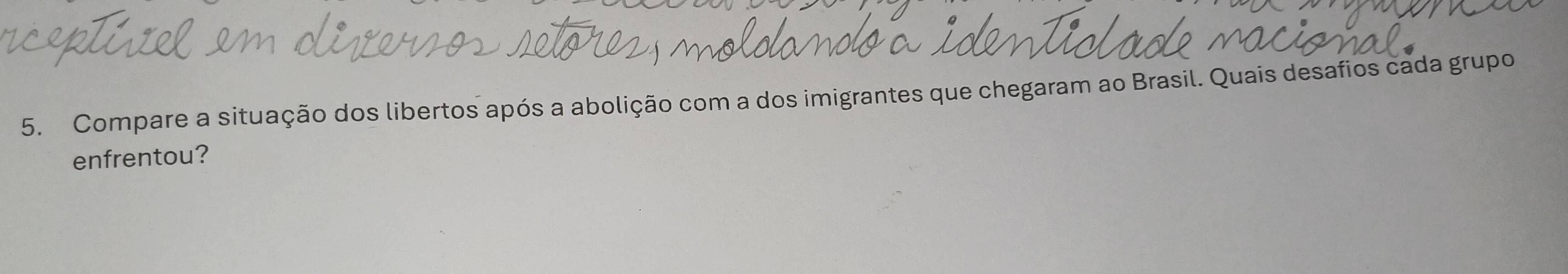 Compare a situação dos libertos após a abolição com a dos imigrantes que chegaram ao Brasil. Quais desafios cada grupo 
enfrentou?