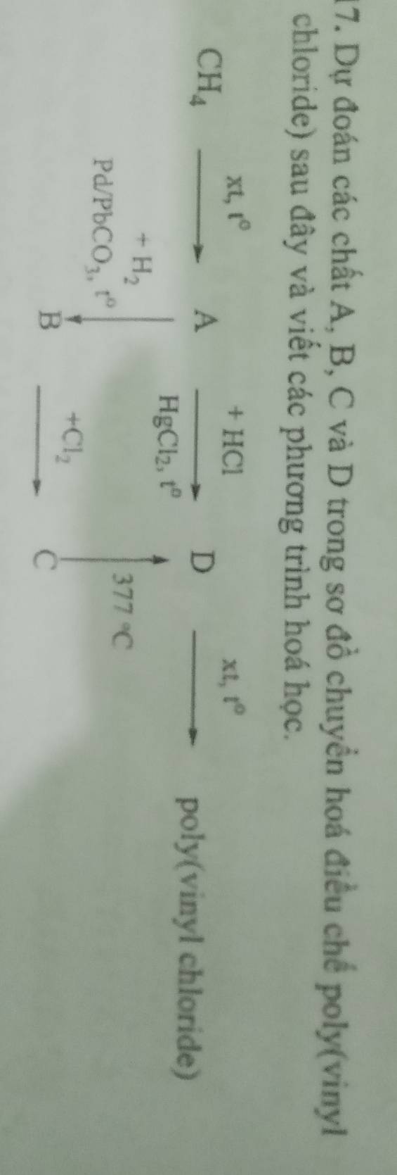 Dự đoán các chất A, B, C và D trong sơ đồ chuyển hoá điều chế poly(vinyl 
chloride) sau đây và viết các phương trình hoá học.
xt, t°
+ HC1
xt,t^0
CH_4
A 
D
HgCl_2, t^o
poly(vinyl chloride)
+H_2
377°C
Pd/PbCO_3, t°
B +Cl_2
C