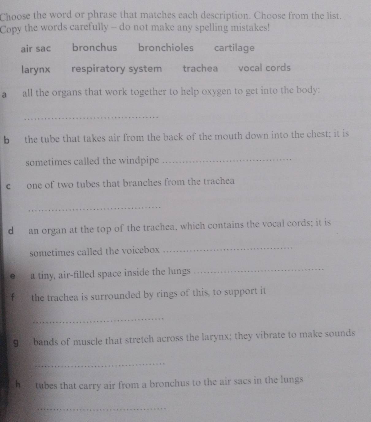 Choose the word or phrase that matches each description. Choose from the list.
Copy the words carefully - do not make any spelling mistakes!
air sac bronchus bronchioles cartilage
larynx respiratory system trachea vocal cords
a£ all the organs that work together to help oxygen to get into the body:
_
b the tube that takes air from the back of the mouth down into the chest; it is
sometimes called the windpipe
_
c one of two tubes that branches from the trachea
_
d an organ at the top of the trachea, which contains the vocal cords; it is
sometimes called the voicebox
_
e a tiny, air-filled space inside the lungs
_
f the trachea is surrounded by rings of this, to support it
_
9 bands of muscle that stretch across the larynx; they vibrate to make sounds
_
h tubes that carry air from a bronchus to the air sacs in the lungs
_