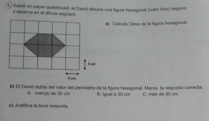 Sobre un paper quadriculat, el David dibuixa una figura hexagonal (color fosc) segons
s'observa en el dibuix següent:
a) Calcula l'àrea de la figura hexagonal.
b) El David dubta del valor del perímetre de la figura hexagonal. Marca la resposta correcta:
A. menys de 30 cm B. igual a 30 cm C. més de 30 cm
c) Justifica la teva resposta.