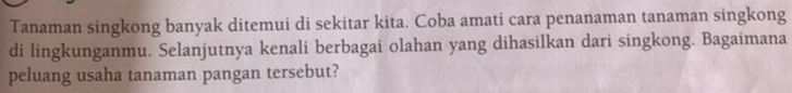 Tanaman singkong banyak ditemui di sekitar kita. Coba amati cara penanaman tanaman singkong 
di lingkunganmu. Selanjutnya kenali berbagai olahan yang dihasilkan dari singkong. Bagaimana 
peluang usaha tanaman pangan tersebut?