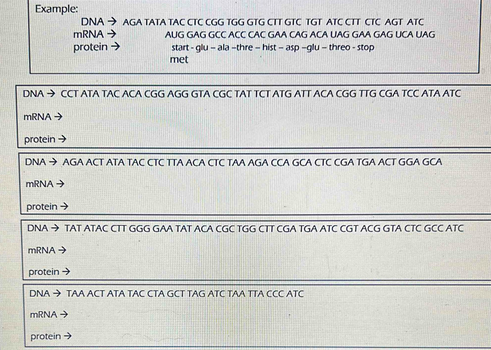 Example: 
DNA AGA TATA TAC CTC CGG TGG GTG CTT GTC TGT ATC CTT CTC AGT ATC 
mRNA AUG GAG GCC ACC CAC GAA CAG ACA UAG GAA GAG UCA UAG 
protein start - glu - ala -thre - hist - asp -glu - threo - stop 
met 
DNA CCT ATA TAC ACA CGG AGG GTA CGC TAT TCT ATG ATT ACA CGG TTG CGA TCC ATA ATC 
mRNA 
protein 
DNA → AGA ACT ATA TAC CTC TTA ACA CTC TAA AGA CCA GCA CTC CGA TGA ACT GGA GCA 
mRNA → 
protein 
DNA → TAT ATAC CTT GGG GAA TAT ACA CGC TGG CTT CGA TGA ATC CGT ACG GTA CTC GCC ATC 
mRNA 
protein 
DNA → TAA ACT ATA TAC CTA GCT TAG ATC TAA TTA CCC ATC 
mRNA 
protein