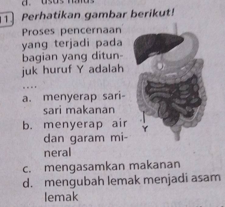 Perhatikan gambar berikut!
Proses pencernaan
yang terjadi pada
bagian yang ditun-
juk huruf Y adalah
a. menyerap sari-
sari makanan
b. menyerap air
dan garam mi-
neral
c. mengasamkan makanan
d. mengubah lemak menjadi asam
lemak