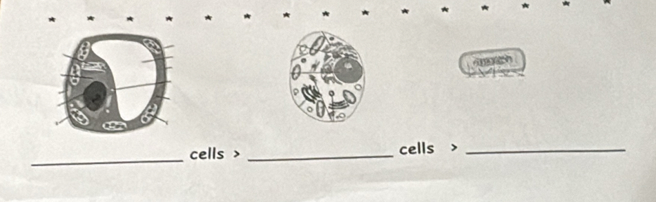 cells > _cells >_