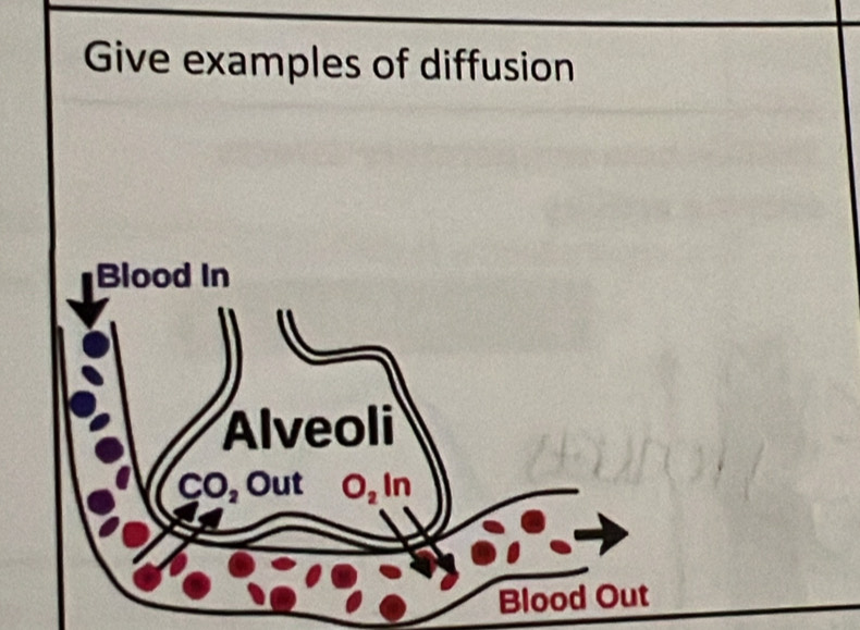 Give examples of diffusion