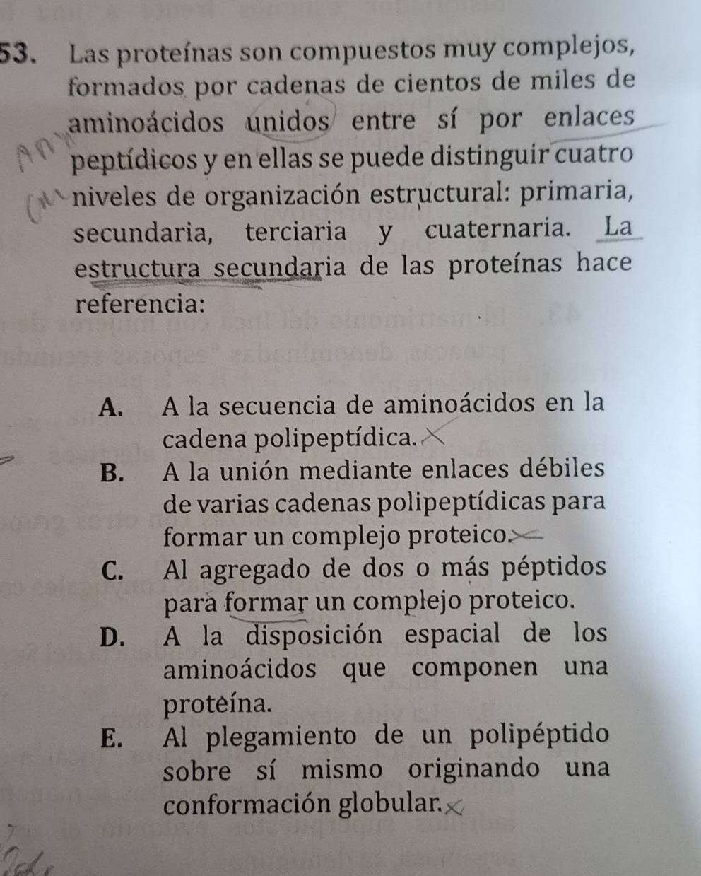 Las proteínas son compuestos muy complejos,
formados por cadenas de cientos de miles de
aminoácidos unidos entre sí por enlaces
peptídicos y en ellas se puede distinguir cuatro
niveles de organización estructural: primaria,
secundaria, terciaria y cuaternaria. _La_
estructura secundaria de las proteínas hace
referencia:
A. A la secuencia de aminoácidos en la
cadena polipeptídica.
B. A la unión mediante enlaces débiles
de varias cadenas polipeptídicas para
formar un complejo proteico.
C. Al agregado de dos o más péptidos
parä formar un complejo proteico.
D. A la disposición espacial de los
aminoácidos que componen una
proteína.
E. Al plegamiento de un polipéptido
sobre sí mismo originando una
conformación globular.