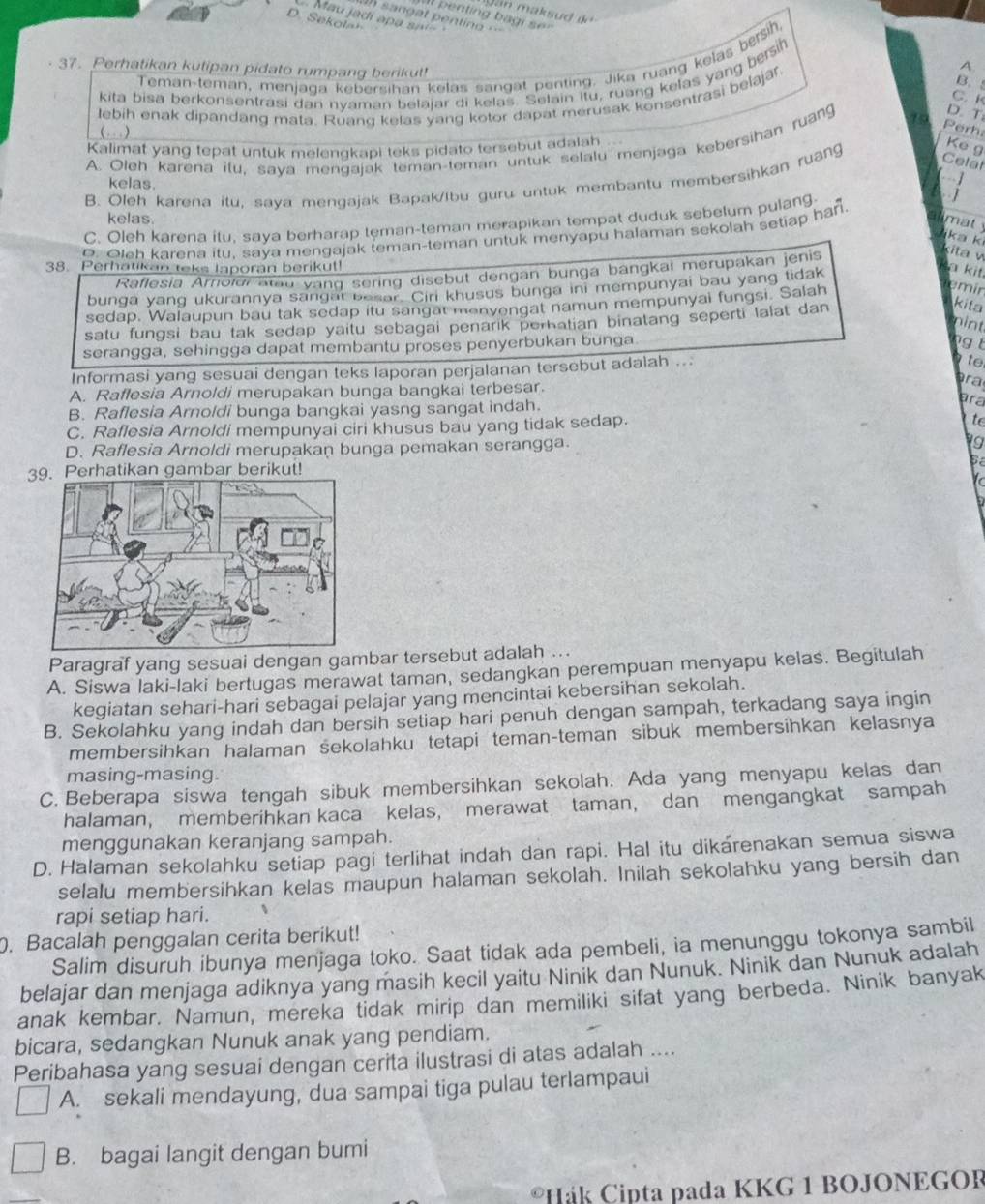 an maksud ik 
Il penting bag i s
Mau jadí apa sai
sanoat penting  ==
D. Sekolan
Teman-teman, menjaga kebersihan kelas sangät penting, Jika ruang kelas bersih,
37. Perhatikan kutipan pidato rumpang berikut!
A
kita bisa berkonsentrasi dan nyaman belajar di kelas. Selain itu, ruang kelas yang bersih
C. K
lebih enak dipandang mata. Ruang kelas yang kotor dapat merusak konsentrasi belajar
B. 
(…)
Kalimat yang tepat untuk melengkapi teks pidato tersebut adalah
Ke g
A. Oleh karena ilu, saya mengájak teman-leman untuk selalu menjaga kebersihan ruang 19
D. T
Perh
B. Oleh karena itu, saya mengajak Bapak/lbu guru untuk membantu membersihkan ruang
Celat
kelas.
kelas. mat
C. Oleh karena itu, saya berharap teman-teman merapikan tempat duduk sebelum pulang
O. Oleh karena itu, saya mengajak teman-teman untuk menyapu halaman sekolah setiap han.
ka k
Raflesia Arolui stau vang sering disebut dengan bunga bangkai merupakan jenis
kita w
38. Perhatikan teks laporan berikut!
a kit.
kita
sedap. Walaupun bau tak sedap itu sangat menyengat namun mempunyai fungsi. Salah
emir
bunga yang ukurannya sangat besar. Ciri khusus bunga ini mempunyai bau yang tidak
satu fungsi bau tak sedap yaitu sebagai penarik perhatian binatang seperti lalat dan
nint
serangga, sehingga dapat membantu proses penyerbukan bunga
g  
Informasi yang sesuai dengan teks laporan perjalanan tersebut adalah ...
to
A. Raffesia Arnoldi merupakan bunga bangkai terbesar. ra
B. Raflesia Arnoldi bunga bangkai yasng sangat indah.
ara
C. Raflesia Arnoldi mempunyai ciri khusus bau yang tidak sedap.
to
D. Raflesia Arnoldi merupakan bunga pemakan serangga.
9
39. Perhatikan gambar berikut!
Paragraf yang sesuai dengan gambar tersebut adalah ...
A. Siswa laki-laki bertugas merawat taman, sedangkan perempuan menyapu kelas. Begitulah
kegiatan sehari-hari sebagai pelajar yang mencintai kebersihan sekolah.
B. Sekolahku yang indah dan bersih setiap hari penuh dengan sampah, terkadang saya ingin
membersihkan halaman sekolahku tetapi teman-teman sibuk membersihkan kelasnya
masing-masing.
C. Beberapa siswa tengah sibuk membersihkan sekolah. Ada yang menyapu kelas dan
halaman, memberihkan kaca kelas, merawat taman, dan mengangkat sampah
menggunakan keranjang sampah.
D. Halaman sekolahku setiap pagi terlihat indah dan rapi. Hal itu dikarenakan semua siswa
selalu membersihkan kelas maupun halaman sekolah. Inilah sekolahku yang bersih dan
rapi setiap hari. 、
. Bacalah penggalan cerita berikut!
Salim disuruh ibunya menjaga toko. Saat tidak ada pembeli, ia menunggu tokonya sambil
belajar dan menjaga adiknya yang masih kecil yaitu Ninik dan Nunuk. Ninik dan Nunuk adalah
anak kembar. Namun, mereka tidak mirip dan memiliki sifat yang berbeda. Ninik banyak
bicara, sedangkan Nunuk anak yang pendiam.
Peribahasa yang sesuai dengan cerita ilustrasi di atas adalah ....
A. sekali mendayung, dua sampai tiga pulau terlampaui
B. bagai langit dengan bumi
Hák Cipta pada KKG 1 BOJONEGOR