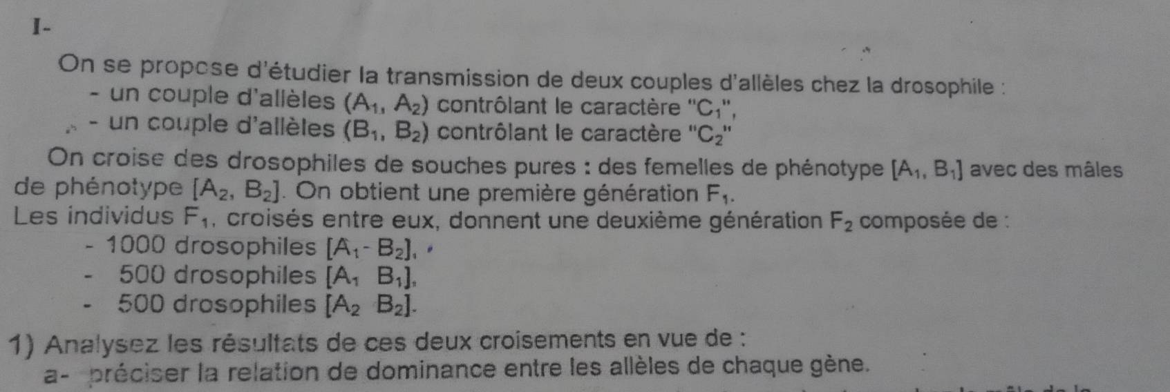 I-
On se propose d'étudier la transmission de deux couples d'allèles chez la drosophile :
- un couple d'allèles (A_1,A_2) contrôlant le caractère ''C₁'',
- un couple d'allèles (B_1,B_2) contrôlant le caractère '' C_2''
On croise des drosophiles de souches pures : des femelles de phénotype [A_1,B_1] avec des mâles
de phénotype [A_2,B_2]. On obtient une première génération F_1. 
Les individus F_1 , croisés entre eux, donnent une deuxième génération F_2 composée de :
- 1000 drosophiles [A_1-B_2], .
500 drosophiles [A_1B_1],
500 drosophiles [A_2B_2]. 
1) Analysez les résultats de ces deux croisements en vue de :
a- préciser la relation de dominance entre les allèles de chaque gène.