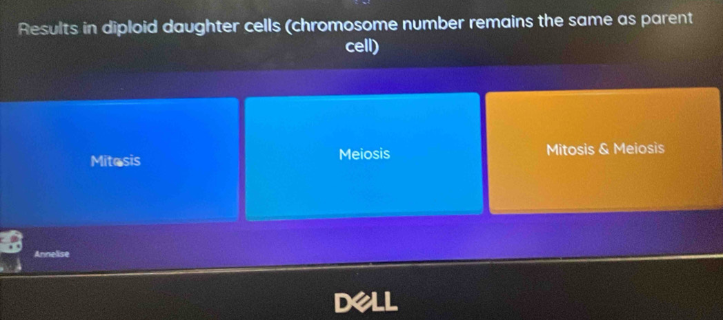 Results in diploid daughter cells (chromosome number remains the same as parent
cell)
Mitasis Meiosis Mitosis & Meiosis
Annelise
DeLL